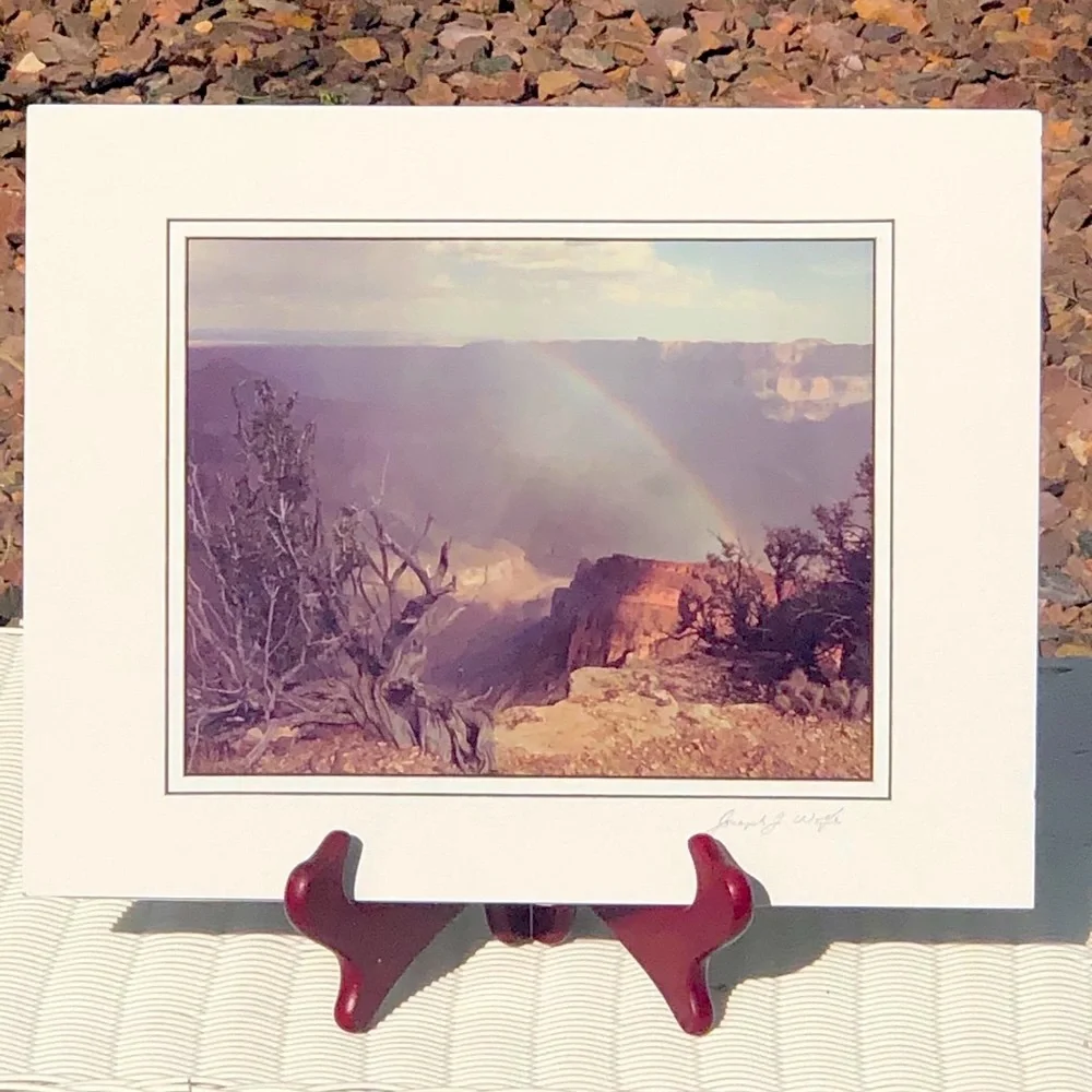 REPRODUCTION OF DESERT SCENE